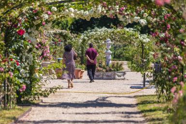 La Roseraie du Val-de-Marne conservatoire de roses anciennes