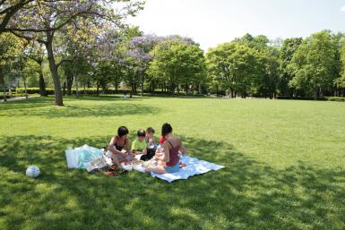 Pique-nique au Parc de la roseraie du Val-de-Marne