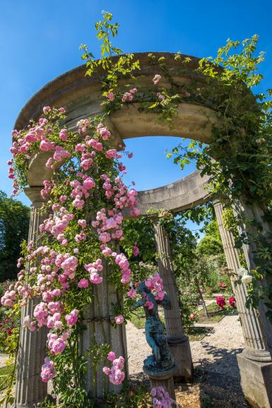 La Roseraie du Val-de-Marne conservatoire de roses anciennes