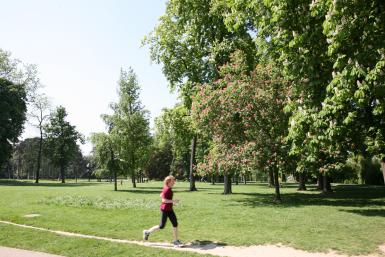 Course à pieds au oarc de la roseraie du Val-de-Marne